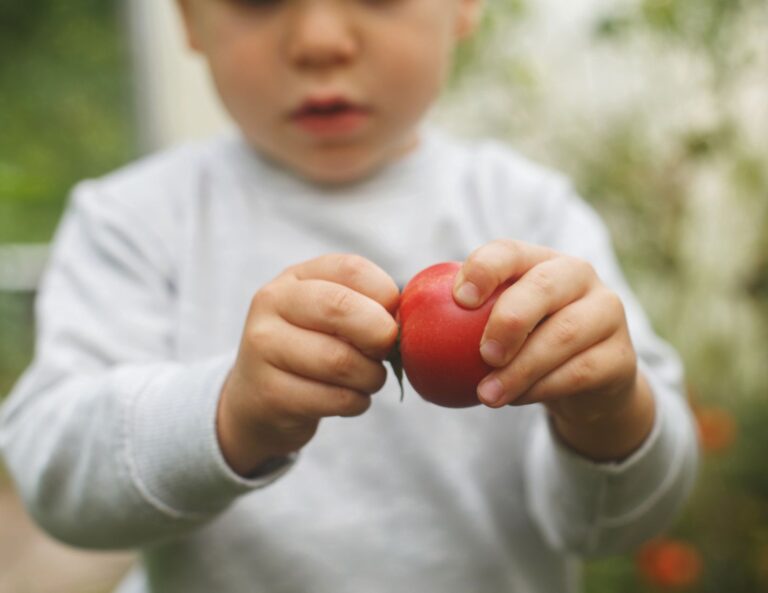 child holding an apple
